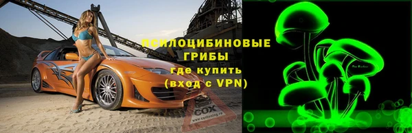 ПСИЛОЦИБИНОВЫЕ ГРИБЫ Арсеньев