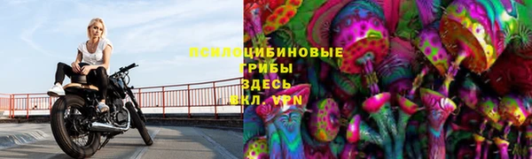 ПСИЛОЦИБИНОВЫЕ ГРИБЫ Арсеньев