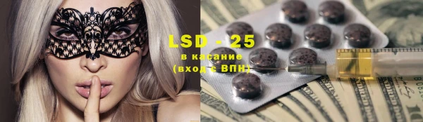 ПСИЛОЦИБИНОВЫЕ ГРИБЫ Арсеньев
