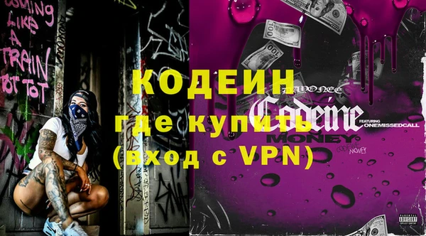 ПСИЛОЦИБИНОВЫЕ ГРИБЫ Арсеньев