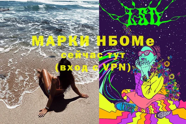 ПСИЛОЦИБИНОВЫЕ ГРИБЫ Арсеньев