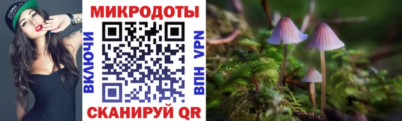 где можно купить наркотик  Иннополис  Галлюциногенные грибы Psilocybine cubensis 